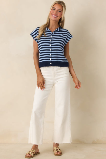 It All Lines Up Navy & Light Blue Stripe Knit Button Front Top