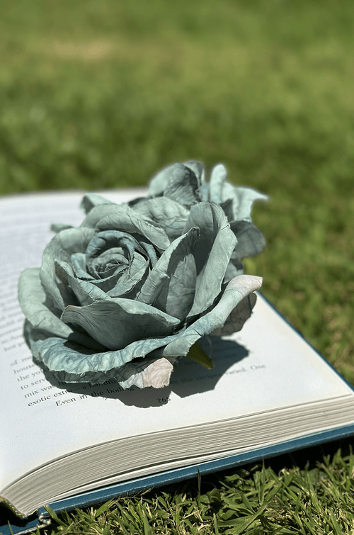 Follies Twin Rose Hair Clip (Vintage Blue)